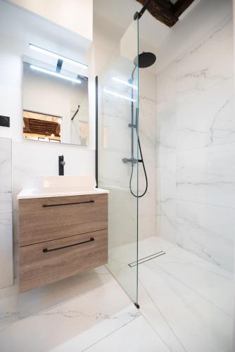 une salle de bain avec un lavabo et une douche dans l'établissement Lovely apartment in Paris -, à Paris