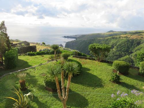 Blick auf das Meer von einem Hügel mit Palmen in der Unterkunft Villa Cedros in Santa Cruz das Flores