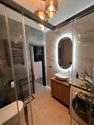 uma casa de banho com um lavatório e um espelho em Villa Monte Apartament z ogrodem em Kudowa-Zdrój