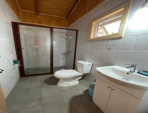 La salle de bains est pourvue de toilettes et d'un lavabo. dans l'établissement Cabaña Melipeuco, à Melipeuco