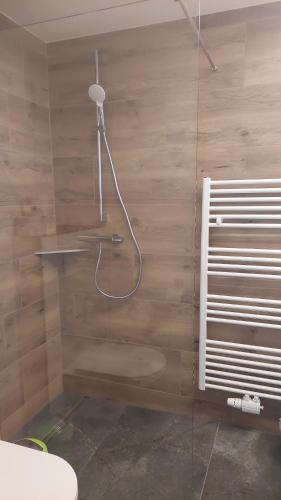 a shower in a bathroom with a wooden wall at Ferienhaus Fallenegger in Flachau