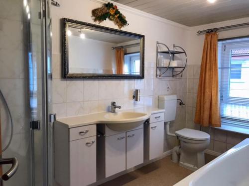 a bathroom with a sink and a toilet and a mirror at Thüringer Hof in Heringen