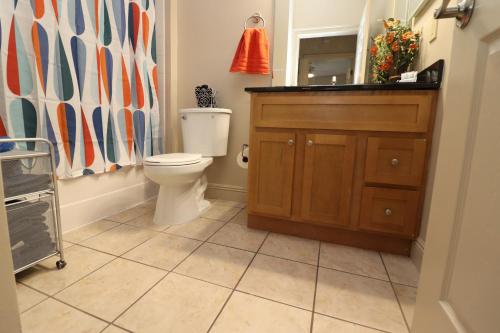 a bathroom with a toilet and a sink and a mirror at 1 BR 1BA Oasis Near LSU and Casino Free Parking in Baton Rouge