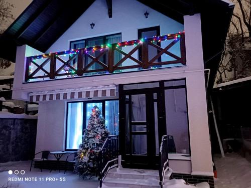 a house with a christmas tree in front of it at Casa cu nuferi in Chişinău