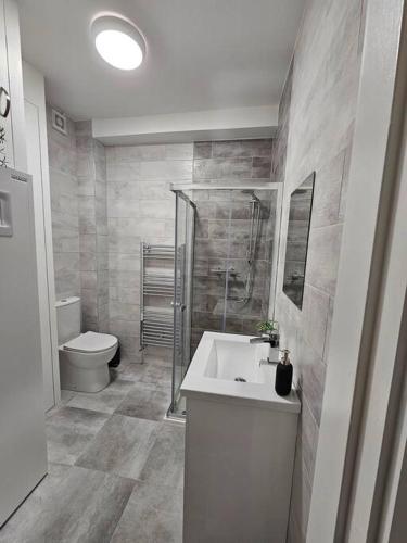 een badkamer met een douche, een wastafel en een toilet bij Spacious and cosy house in Dublin