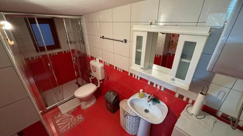 Baño pequeño con aseo y lavamanos en Hostel - F en Gjakove