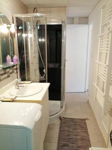 une salle de bain avec une douche, un lavabo et un miroir dans l'établissement Studio proche du centre-ville, à Carcassonne