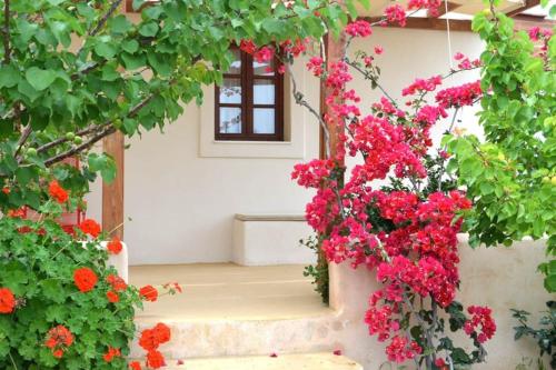Κήπος έξω από το Absolute peace south villa