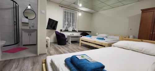 熱舒夫的住宿－ETNA - Hostel -Noclegi Rzeszów，一间酒店客房 - 带一张床和一间浴室