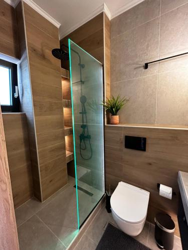 W łazience znajduje się toaleta i przeszklony prysznic. w obiekcie Orange Luxury apartment in agrinio w mieście Agrinio