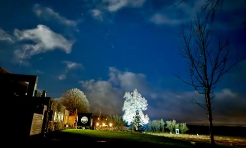 a large christmas tree is lit up at night at Le Mont Rigi in Waimes