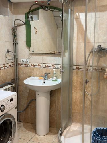 een badkamer met een wastafel en een douche bij Горная Сказка in Besqaynar