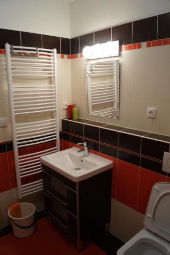 a bathroom with a sink and a toilet at Apartments Klinovec in Loučná pod Klínovcem