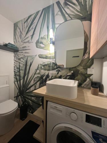 uma casa de banho com uma máquina de lavar roupa e um espelho. em Strasbourg, Appartement cosy dans cadre de verdure em Estrasburgo