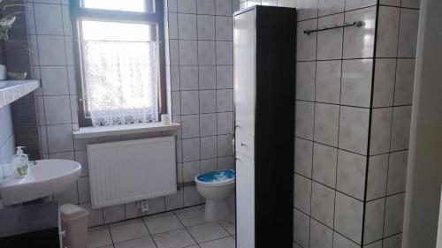 a bathroom with a toilet and a sink and a window at Pensjonacik Zacisze in Pasym