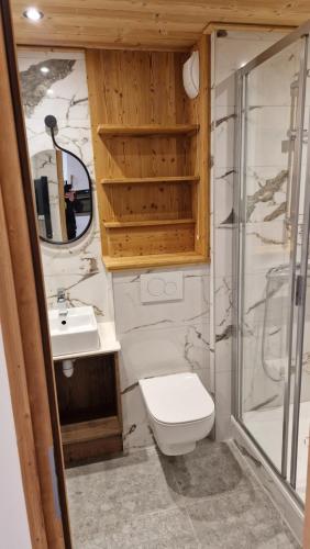 a bathroom with a toilet and a sink at TIGNES VAL CLARET A LA CONQUETE DES SOMMETS 116 in Tignes