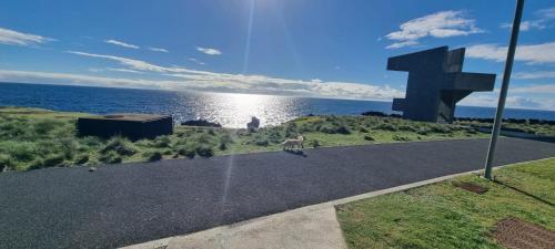 a dog walking down a road next to the ocean at Casa do Pescador in Lagoa
