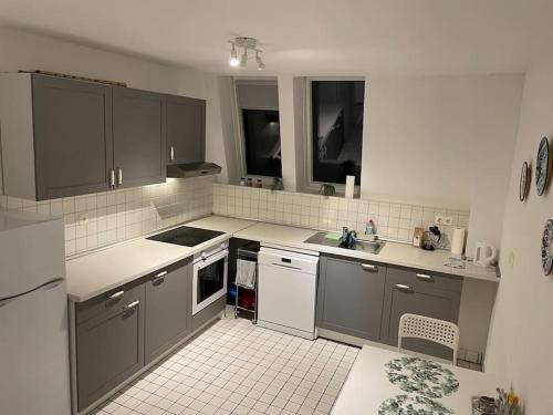 a kitchen with gray cabinets and white appliances at Citywohnung Würselen in Würselen