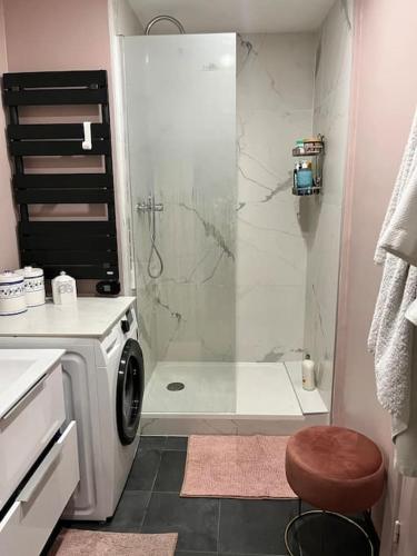 une salle de bain avec douche et machine à laver dans l'établissement Appartement spacieux 2 chambres avec vue sur le Rhône et parc, à Caluire-et-Cuire