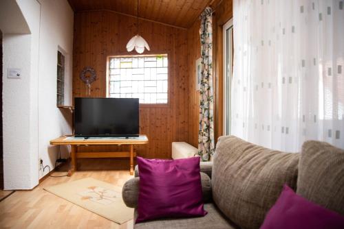a living room with a couch and a television at Gasthaus zum Odenwald 
