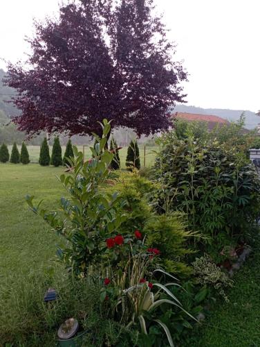 Un jardín fuera de Kuca za odmor Zicanka