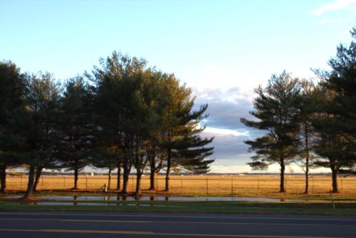 a group of trees on the side of a road at Days Inn by Wyndham Wrightstown McGuire AFB Bordentown in Wrightstown