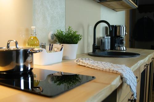 a kitchen counter with a stove and a sink at Charming Rustic Retreat in Lahemaa National Park in Kolga