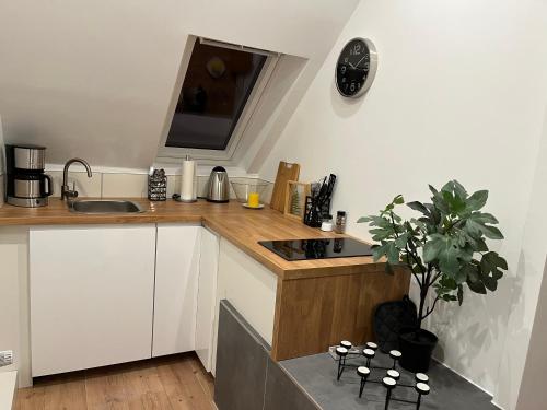 a kitchen with white cabinets and a sink and a potted plant at Deich Winde 9.2 in Dorum Neufeld