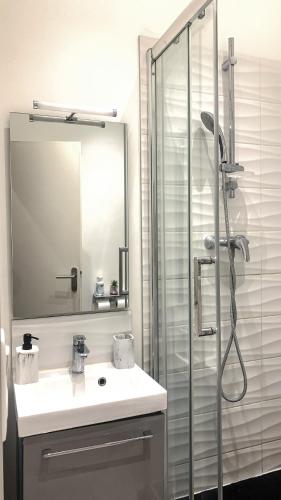 une salle de bain avec un lavabo et une douche avec un miroir dans l'établissement Studio meublé, à Nice