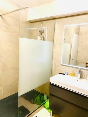 une salle de bain avec un lavabo et un miroir dans l'établissement Avignon,Climatisé,4 ad. +/- bb, à Villeneuve-lès-Avignon