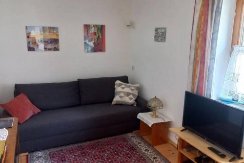 a living room with a couch and a flat screen tv at Bauernhaus mit großem Innenhof und Garten - ideal für große Gruppen in Seefeld-Kadolz