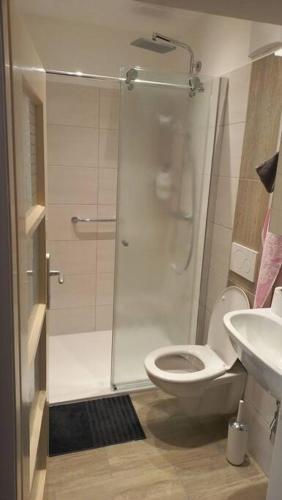 a bathroom with a shower and a toilet and a sink at Bauernhaus mit großem Innenhof und Garten - ideal für große Gruppen in Seefeld-Kadolz
