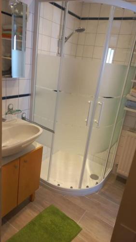 a bathroom with a shower and a sink at Bauernhaus mit großem Innenhof und Garten - ideal für große Gruppen in Seefeld-Kadolz
