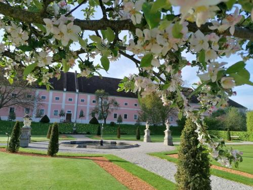 a magnolia tree in front of a pink building at Apartment Alois in Seitenstetten in Seitenstetten Markt