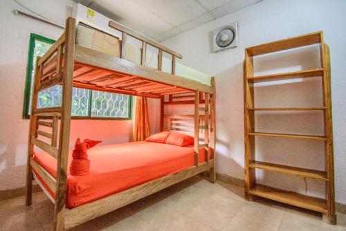 - une chambre avec des lits superposés et un chat assis sur le lit dans l'établissement Hostal Acuarius, à Taganga