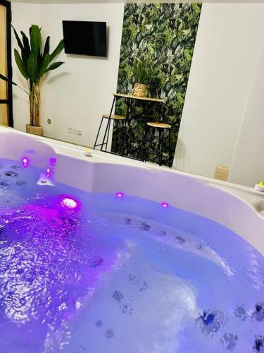Photo de la galerie de l'établissement Suite romantique avec jacuzzi privatif, à Rians
