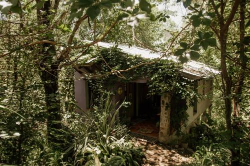 ein verlassenes Haus im Wald mit Bäumen in der Unterkunft Prana Eco hospedaje in Cordoba