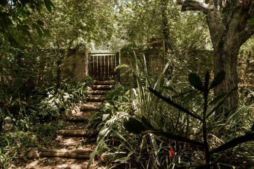 een tuinpad met een poort op de achtergrond bij Prana Eco hospedaje in Cordoba