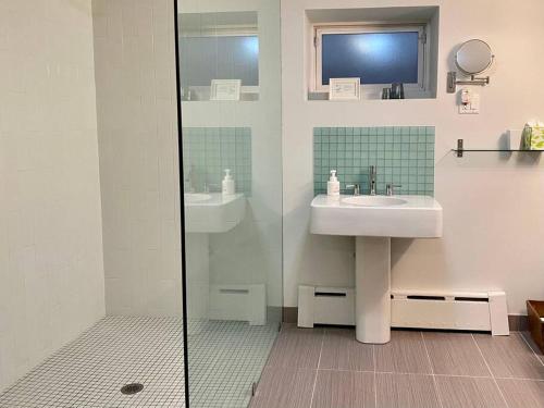 y baño con lavabo y ducha. en The Griffin B and B, Private two bedroom suite in Victorian Ditmas Park, en Brooklyn