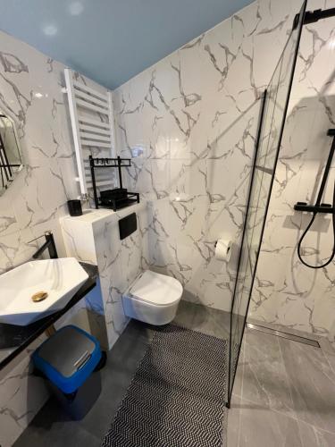 ein Bad mit einem WC, einem Waschbecken und einer Dusche in der Unterkunft Pokoje Gościnne "Cyprian" in Siedlce