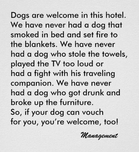a handwritten text with dogs are welcome in this hotel at Thrillseeker - next to Fantasy Island, Ingoldmells, dog friendly in Skegness