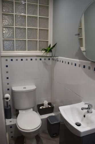 a bathroom with a toilet and a sink and a mirror at Freeman Hot Tub House, Free Parking, Transport Links in Longbenton