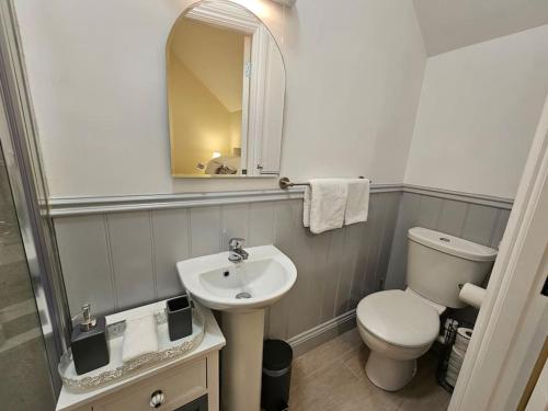 La salle de bains est pourvue de toilettes, d'un lavabo et d'un miroir. dans l'établissement Private House in Oldcastle, à Oldcastle
