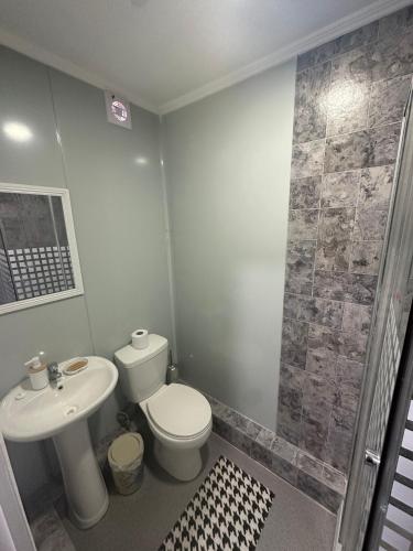 a bathroom with a toilet and a sink at Hospedaje Oasis Modulares in Calama
