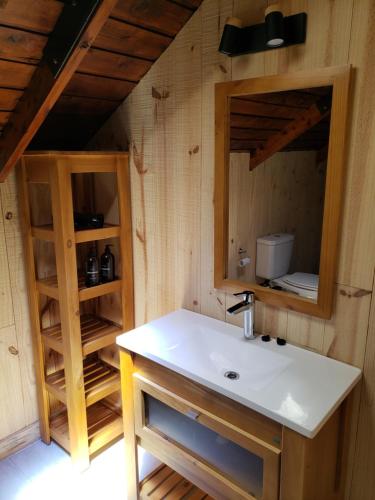 a bathroom with a sink and a mirror at Departamento Cameron - Salepatagonia in San Martín de los Andes
