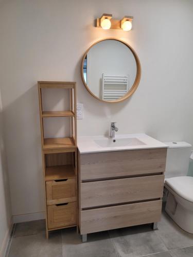 une salle de bain avec un lavabo et un miroir dans l'établissement Studio indépendant en rez-de-jardin, à Cesson-Sévigné
