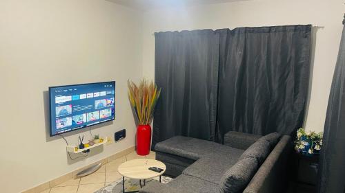 a living room with a couch and a tv at Damo’s Place by Mall of Africa in Midrand