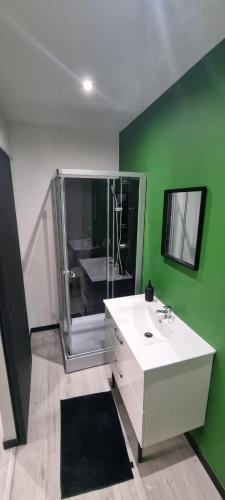 La salle de bains est pourvue d'un lavabo blanc et d'un mur vert. dans l'établissement Studio Hibiscus tout confort, rénové, à Saint-Quentin