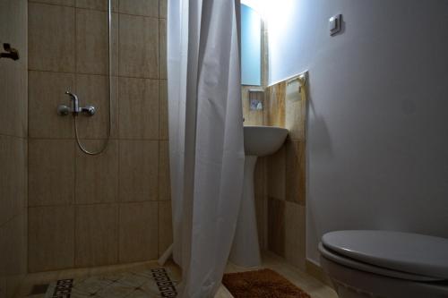 uma casa de banho com um chuveiro, um WC e um lavatório. em Casa Visovan em Sighetu Marmaţiei