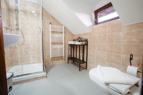 a bathroom with a shower and a toilet and a sink at Four S Palace in Băile Borşa